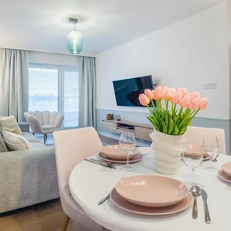 Lux Tukan B005 Polanki Aqua -